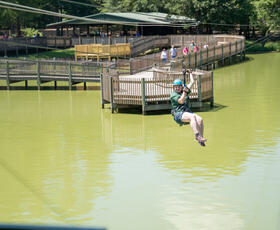 A child enjoys the zipline above light green water at Gators &amp; Friends.