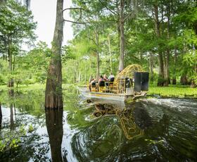 Airboat Swamp Tour