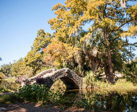 A stone bridge arching over a waterway, surrounded by autumn colored trees on a bright, sunny day in New Orleans, Louisiana.