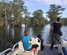 A family on a Louisiana swamp tour snaps photos of the giant cypress trees and calm water during their tour.