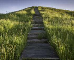 Poverty Point Mound Near Monroe, LA