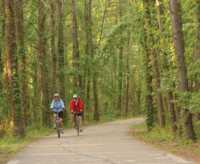 Two people in workout wear riding through a vine-covered forest in the Tammany Trace trails in Louisiana’s Northshore.