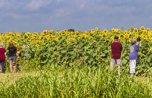Farms &amp; Orchards