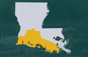 Cajun Country Region Map