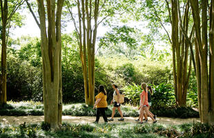 Walk through the Rip Van Winkle Gardens in New Iberia