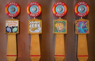 Gnarly Barely Brewing Co. in Hammond