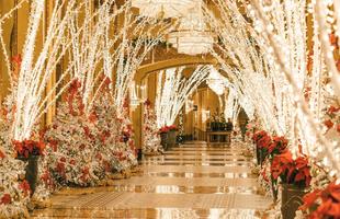 The Roosevelt Hotel Holiday Lobby, with brightly lit trees on either side of the hallway.
