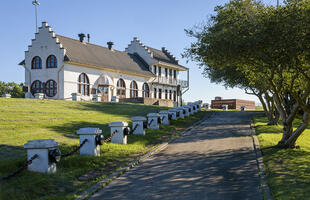 Driveway leading up to a large white building on a hill with unique architectural features