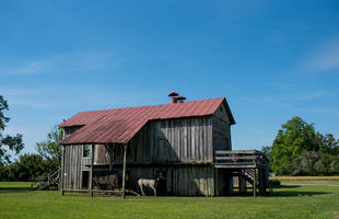 Frogmore Plantation Cotton Gin