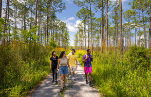 Big Branch Marsh National Wildlife Refuge