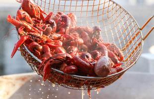 Crawfish King Cook Off