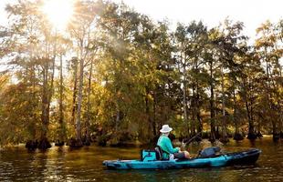 A person fishes from a kayak in a swamp.