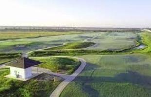 Mallard Cove Golf Club