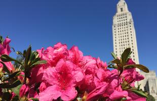 Louisiana State Capitol.JPG
