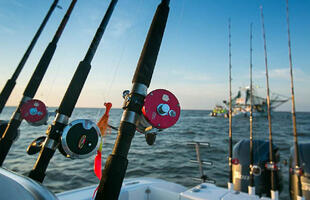 Fishing in Louisiana